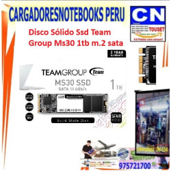 disco solido MS30 M.2 2280 SATA SSD 1TB