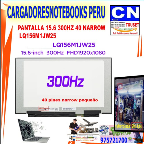 Pantalla 15.6 300HZ 40 PINES NARROW LQ156M1JW25